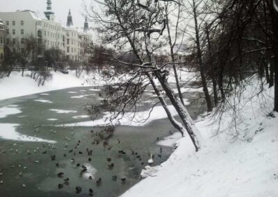 Zimowy widok na fosę przy skrzyżowaniu ul. Oławskiej z Podwalem, fot. Robert Różycki